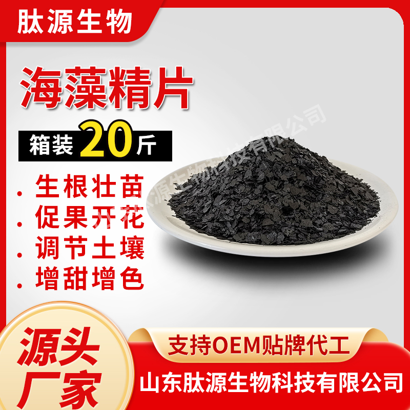 海藻精（大片）