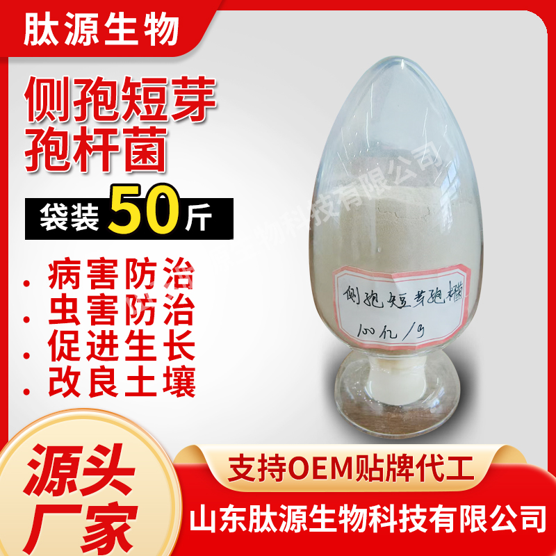 侧孢短芽孢杆菌