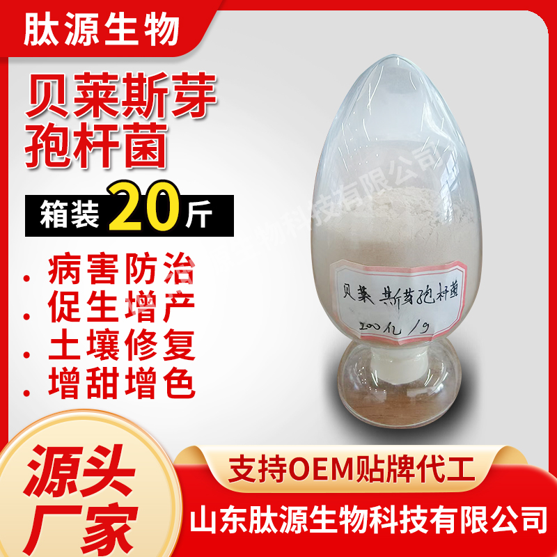 贝莱斯芽孢杆菌